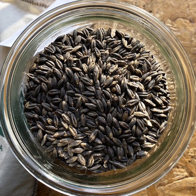 Black Barley Risotto with Asparagus