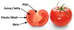 Tomato parts
