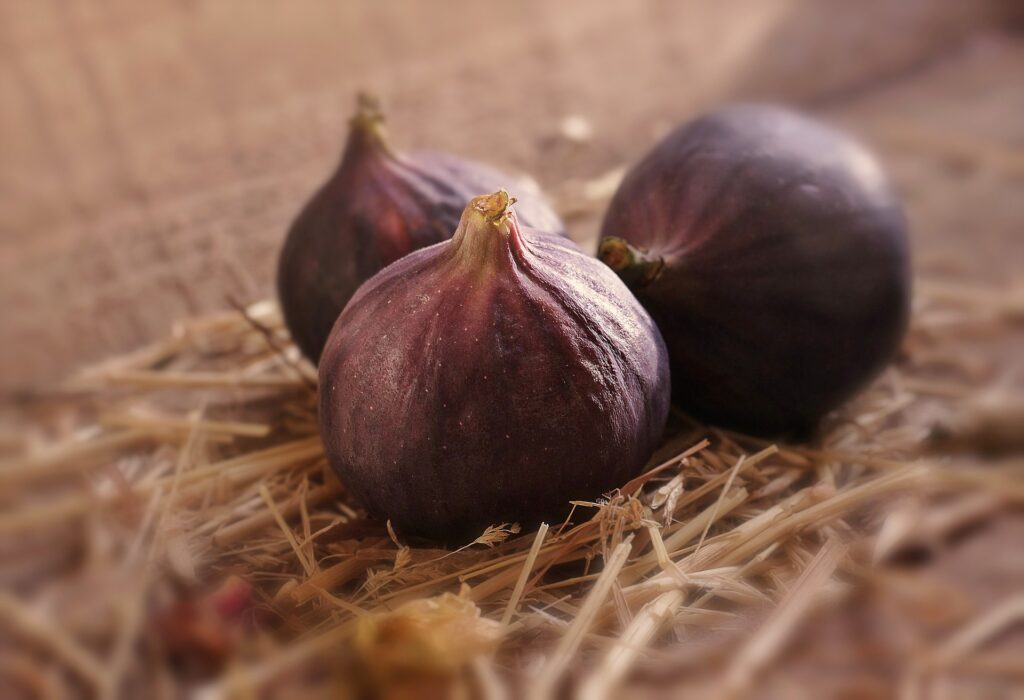 My Food memory story of figs in Italy