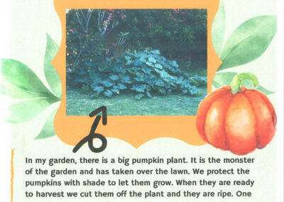 My Pumpkin Plant