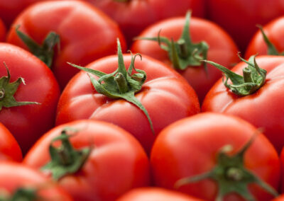 My Food memory of Tomatoes