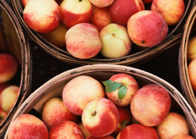 My Food Memory of Harvesting Peaches