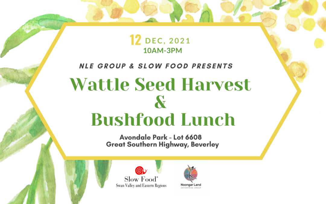 Wattle Seed Harvest and Bushfood Lunch