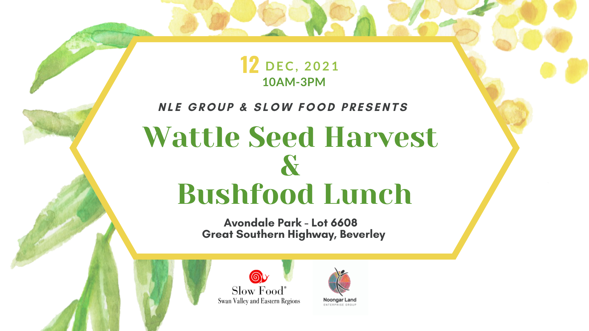 Wattle Seed Harvest and Bushfood Lunch cover image