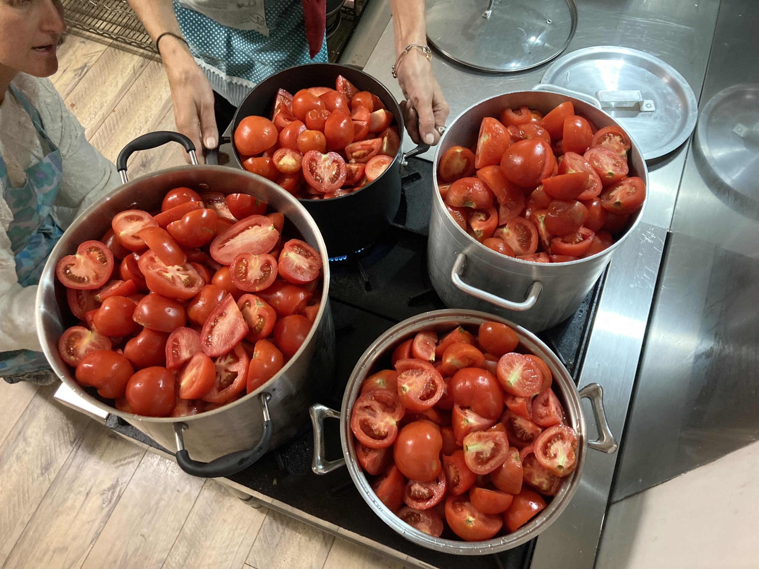 Slow Food Festival workshop