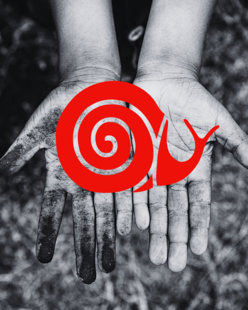 Slow Food Snail Kids Program