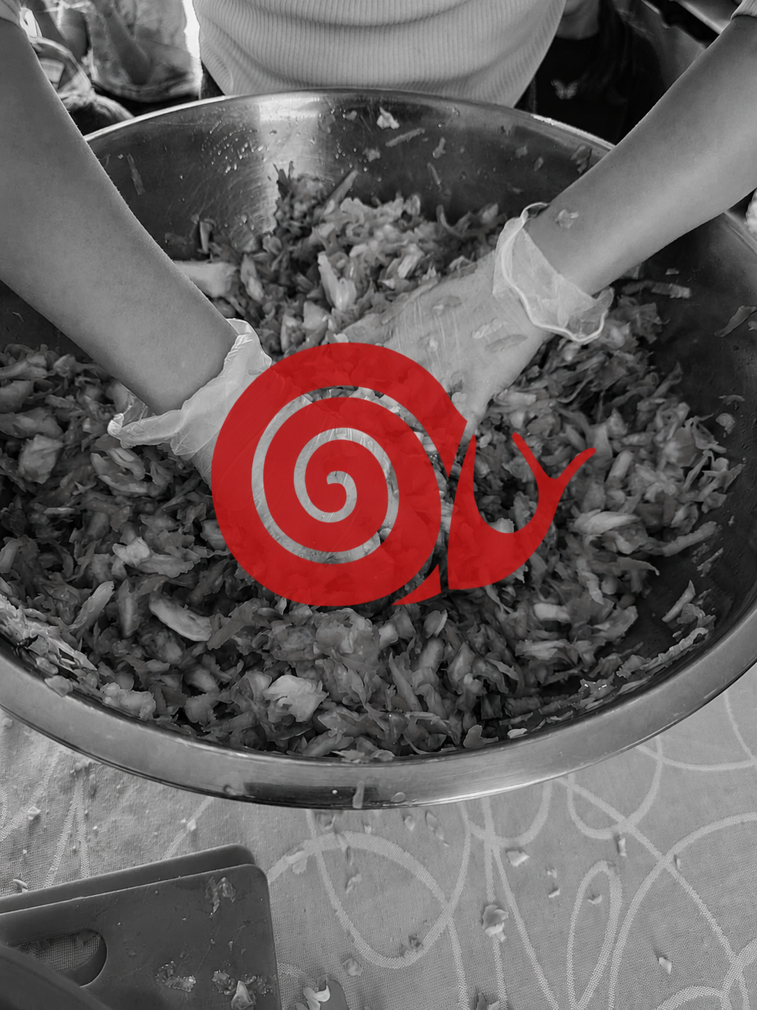 Slow Food Snail Kids Program